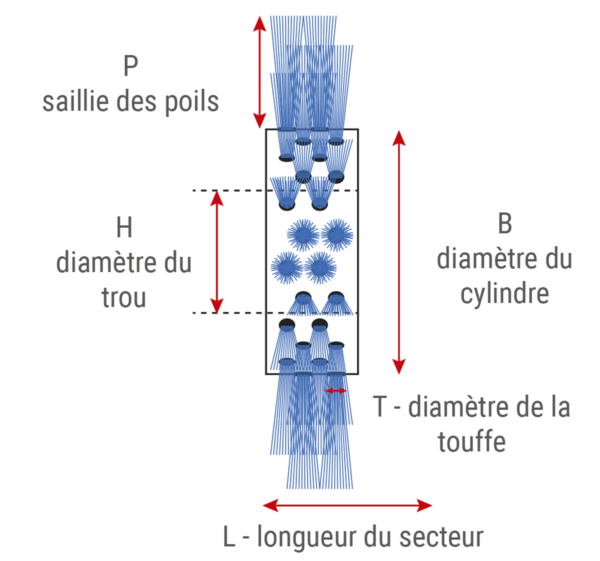 brosse-rouleau-cylindrique-modulaire - Brosserie industrielle